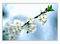 070414-15_Lussault_35 copie